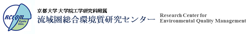 RCEQM.png